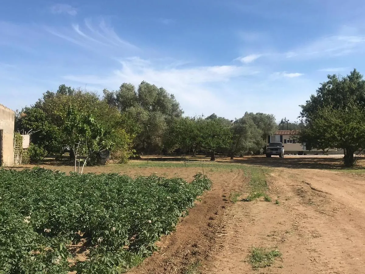 The Farm Tiny House - Tiny Casa Hotel Chiclana de la Frontera 0*,