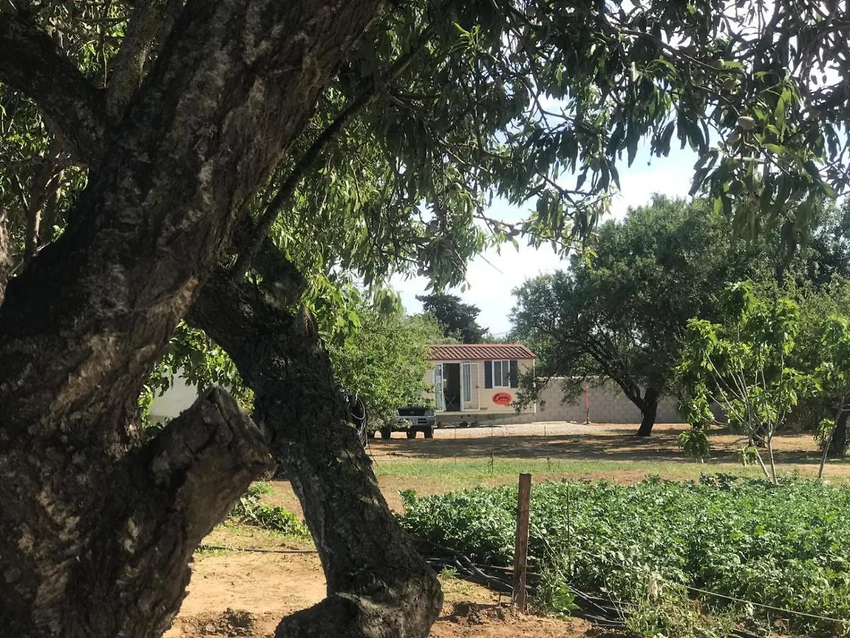 فندق The Farm Tiny House - Tiny Casa شيكلانا دي لا فرونتيرا منتزه العطل